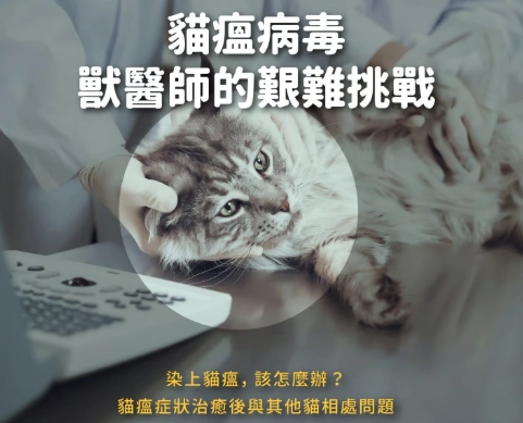 寵物安樂死過程