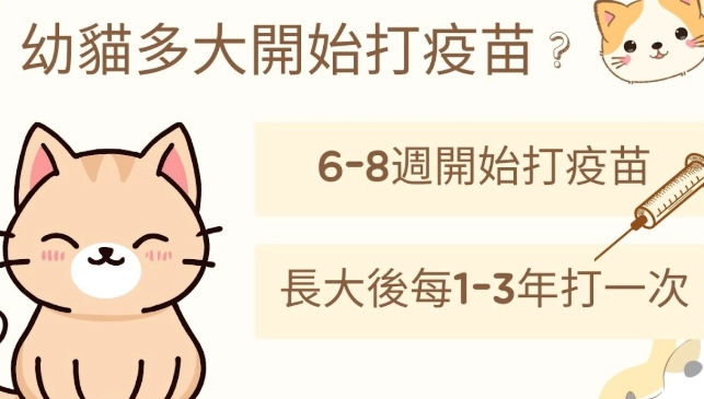 貓疫苗接種