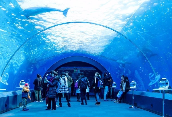 橫濱八景島旅遊