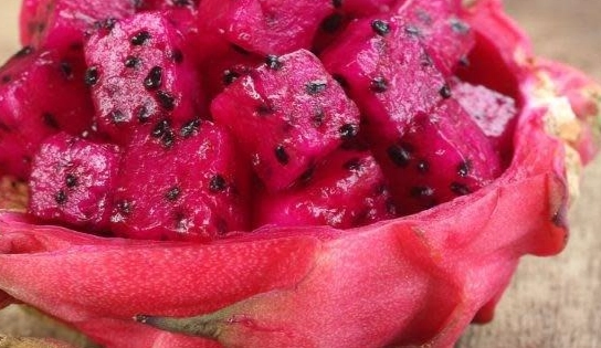 火龍果糖分含量