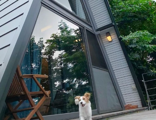 新竹北埔民宿推薦寵物