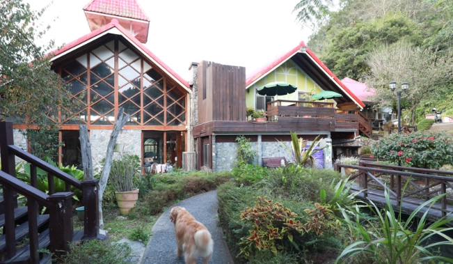 台灣寵物友善住宿