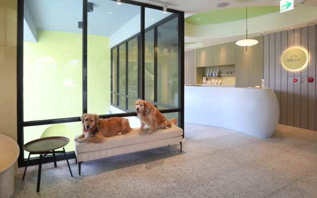 高雄汽車旅館寵物