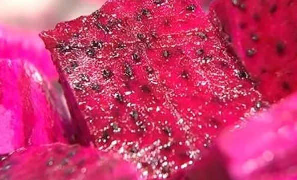 火龍果糖分含量