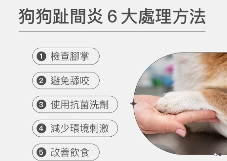 狗腳趾發炎治療