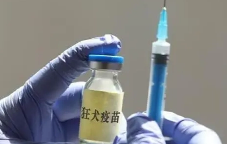 狂犬病疫苗貓咪副作用