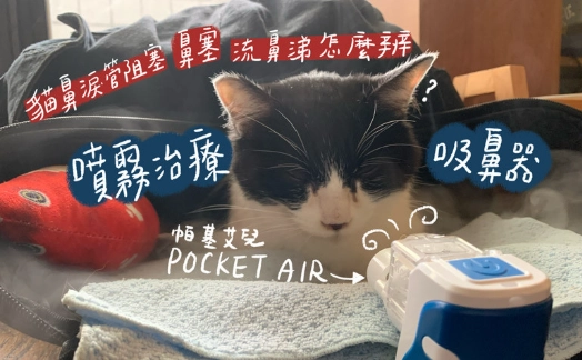 貓眼淚按摩方法