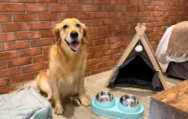 高雄寵物友善餐廳