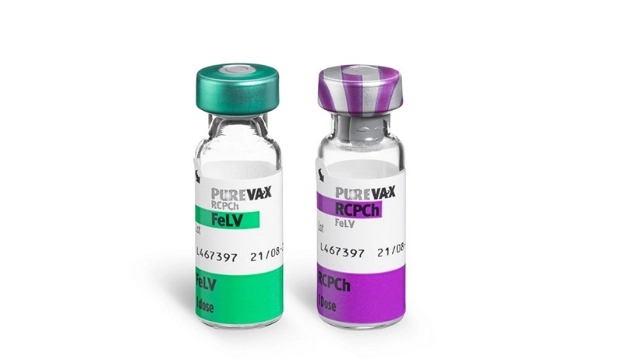 狂犬病疫苗副作用