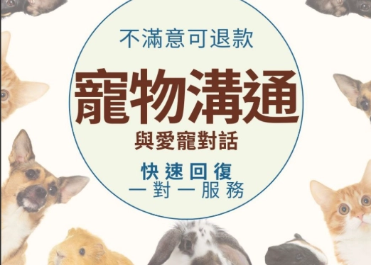 逝世寵物溝通方法