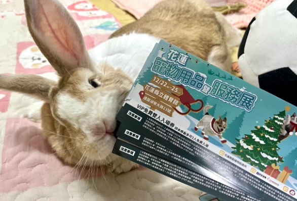 寵物展免費入場