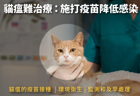 寵物安樂死過程