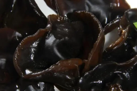 黑木耳晚上不能吃