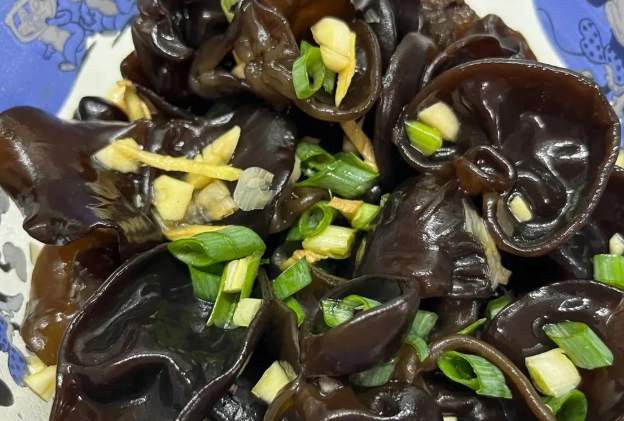 雲耳隔夜食用安全