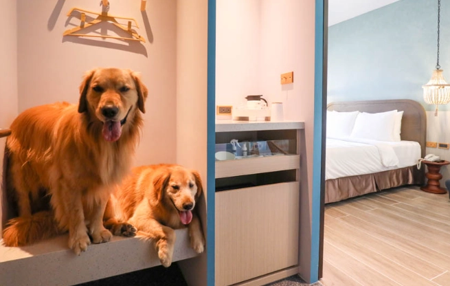 高雄帶寵物住宿