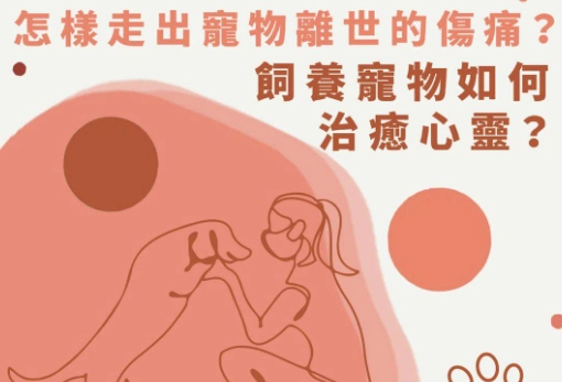 逝世寵物溝通方法