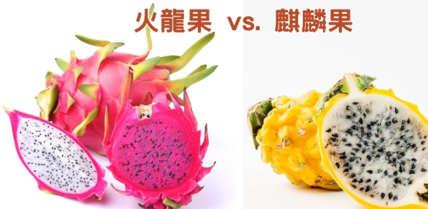 紅肉火龍果功效