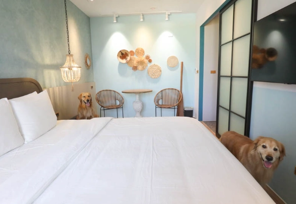 高雄寵物友善住宿