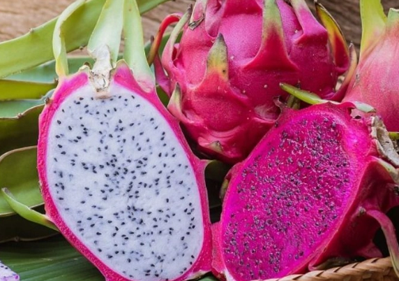 紅肉火龍果癌 預防