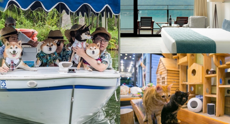 寵物友善住宿