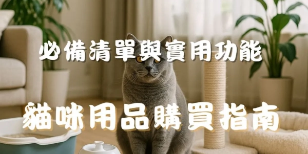 新手養貓必備