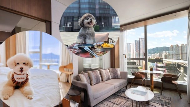 帶寵物住宿西門町