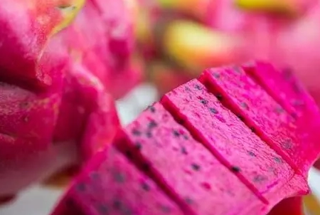 火龍果不能和什麼一起吃