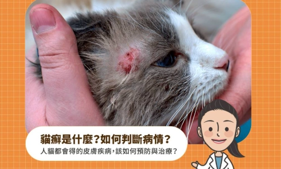 貓甲狀腺機能亢進