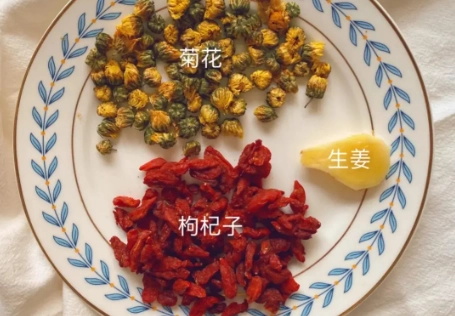 枸杞菊花茶功效