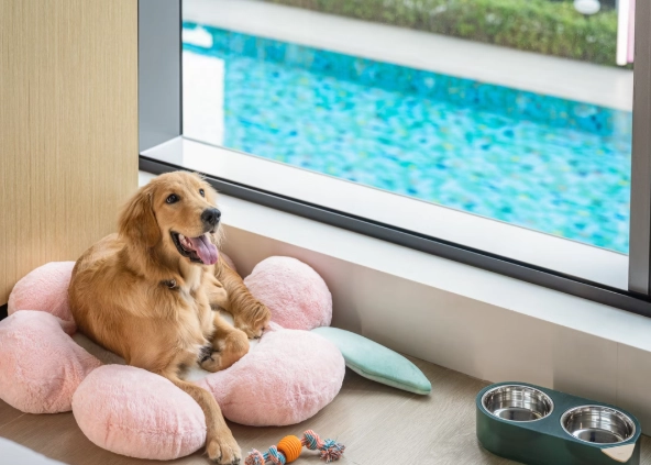 新北帶寵物旅遊