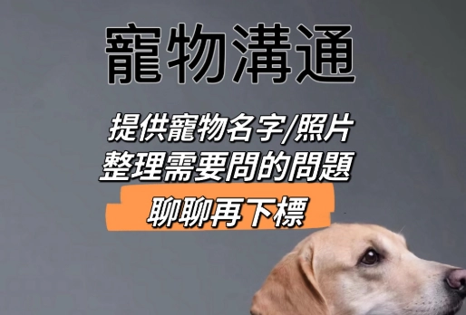 動物靈媒