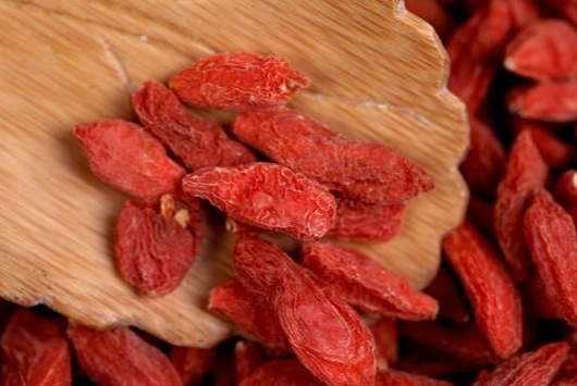 枸杞子健康效益