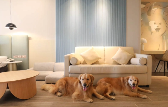 高雄寵物友善餐廳