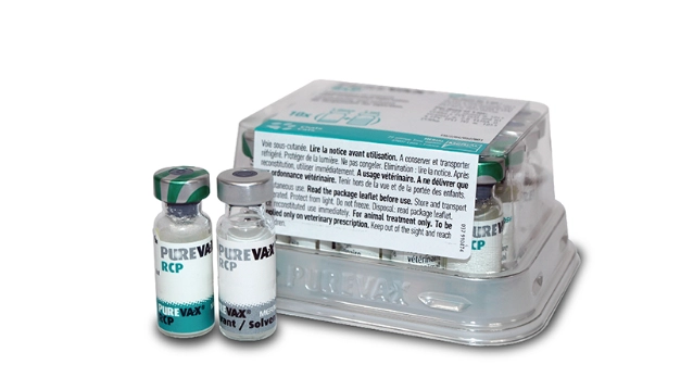 狂犬病疫苗副作用