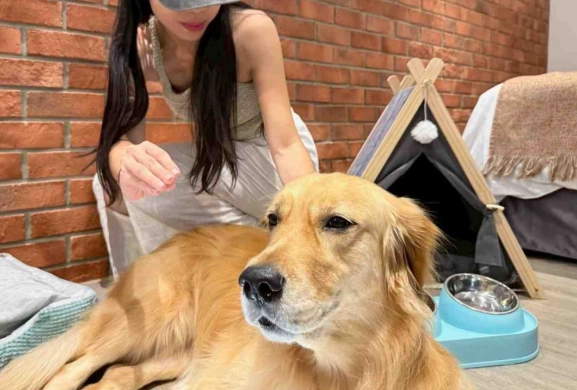 帶寵物旅行宜蘭