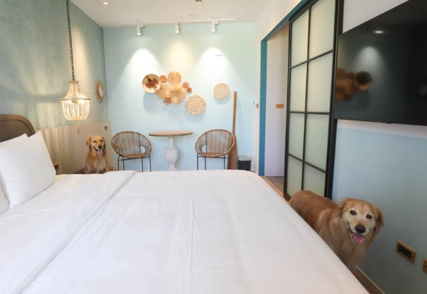 高雄汽車旅館寵物