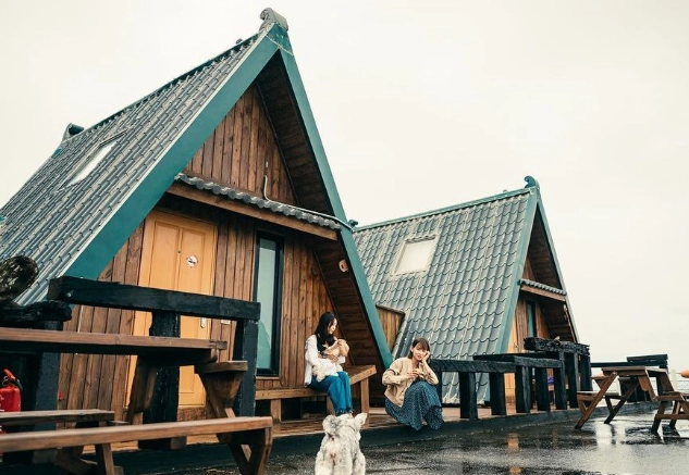 台灣寵物友善住宿