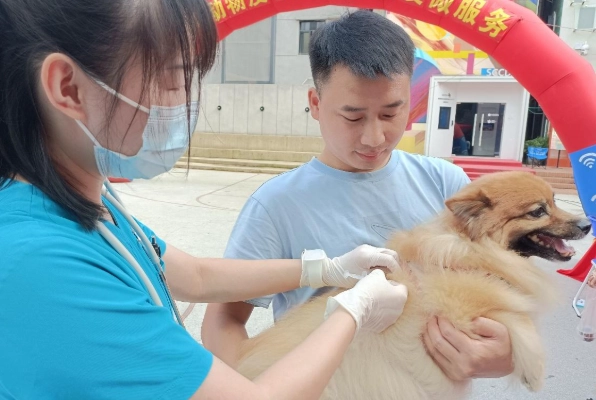 貓疫苗不良反應