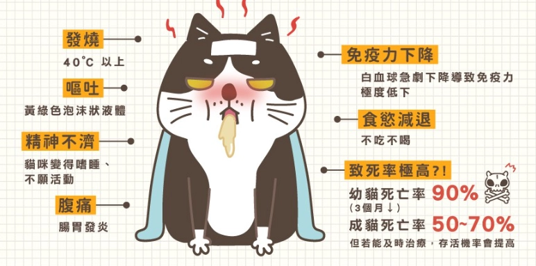 貓瘟治療時間