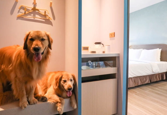 開寵物旅館條件
