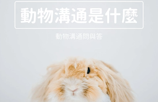 寵物溝通方法