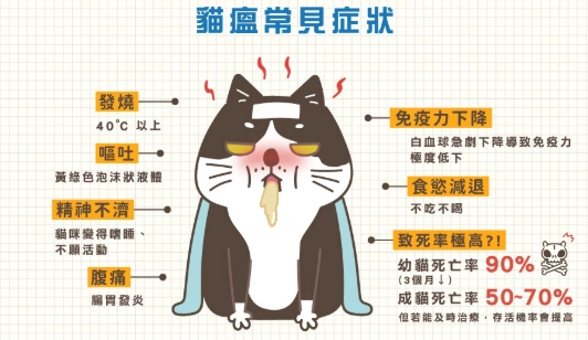 貓瘟症狀