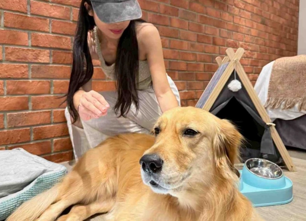 寵物友善旅館台北