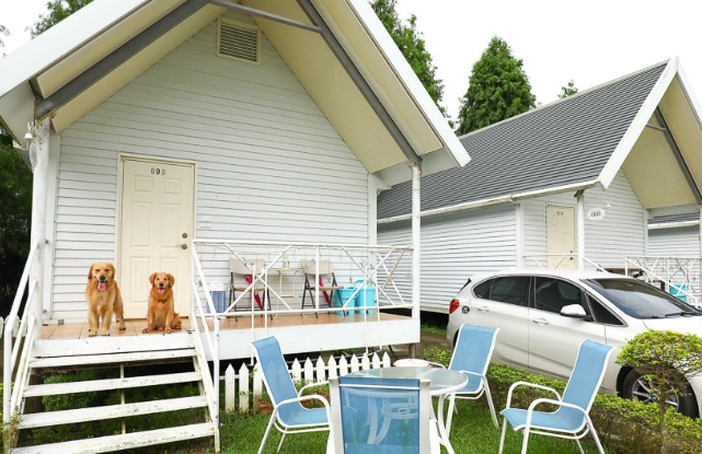 台灣寵物友善住宿