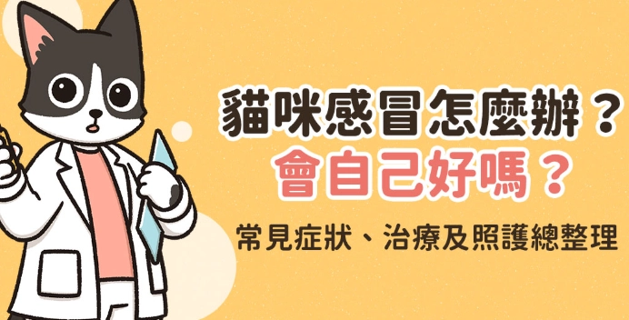 貓感冒原因