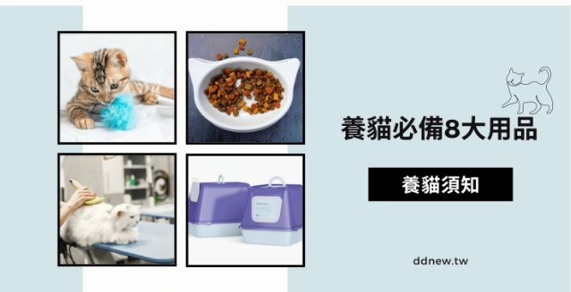 新手養貓必備