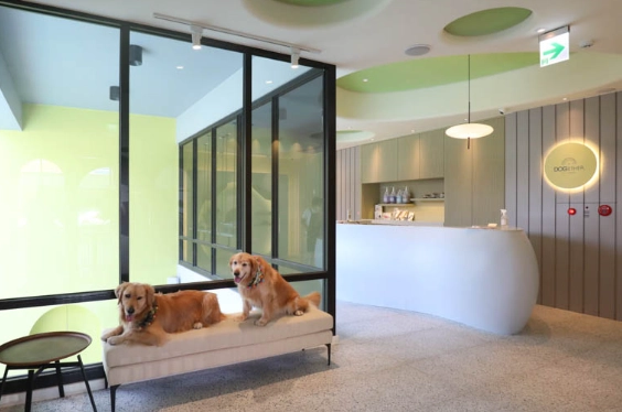 高雄寵物友善住宿