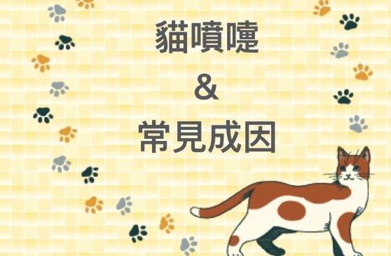 貓感冒原因