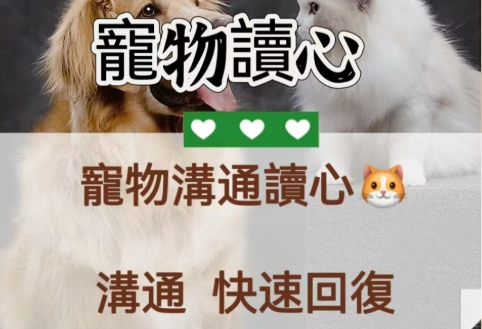 寵物溝通問題