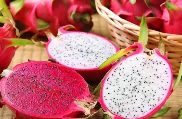 紅肉火龍果營養